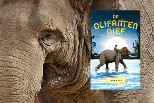 Recensie De Olifantendief, Jane Kerr