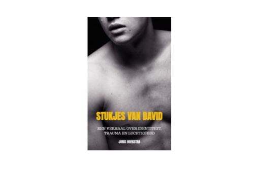 Cover Stukjes van David