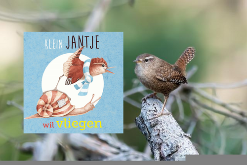 recensie Klein Jantje wil vliegen