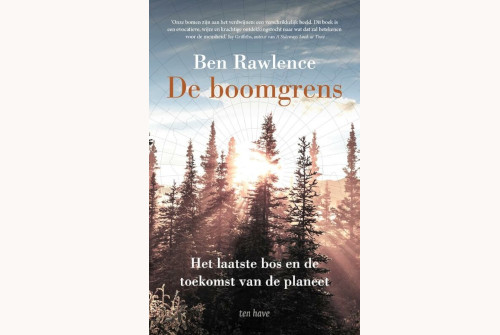 De boomgrens