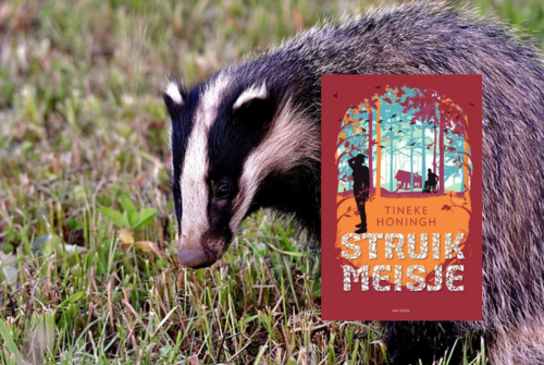 Recensie Struikmeisje van Tineke Honingh