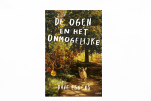 recensie Dave Eggers De ogen en het onmogelijke