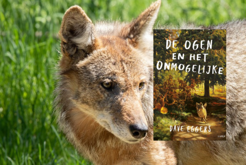 Recensie De ogen en het onmogelijke