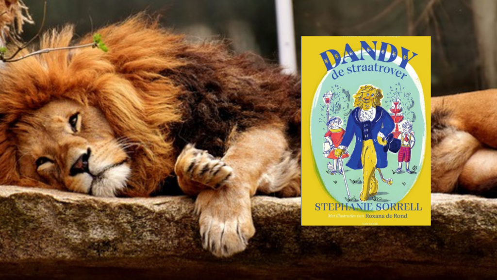 Recensie Dandy de straatrover